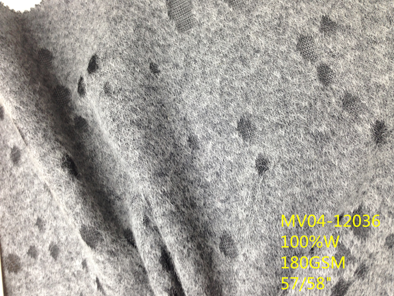 MV04-12036